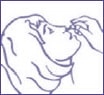 VIBROCIL