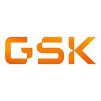 GLAXO WELLCOME (Grupo GlaxoSmithKline) GLAXO WELLCOME (Grupo GlaxoSmithKline)