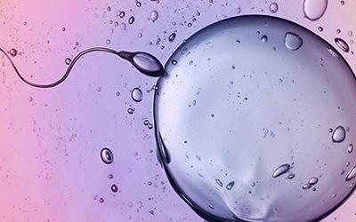 Abortos podem estar associados a qualidade do esperma