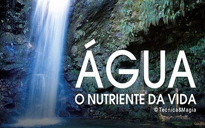 Artigos - ÁGUA, O NUTRIENTE DA VIDA