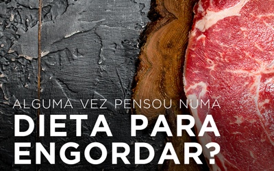 Artigos - ALGUMA VEZ PENSOU NUMA DIETA PARA ENGORDAR?