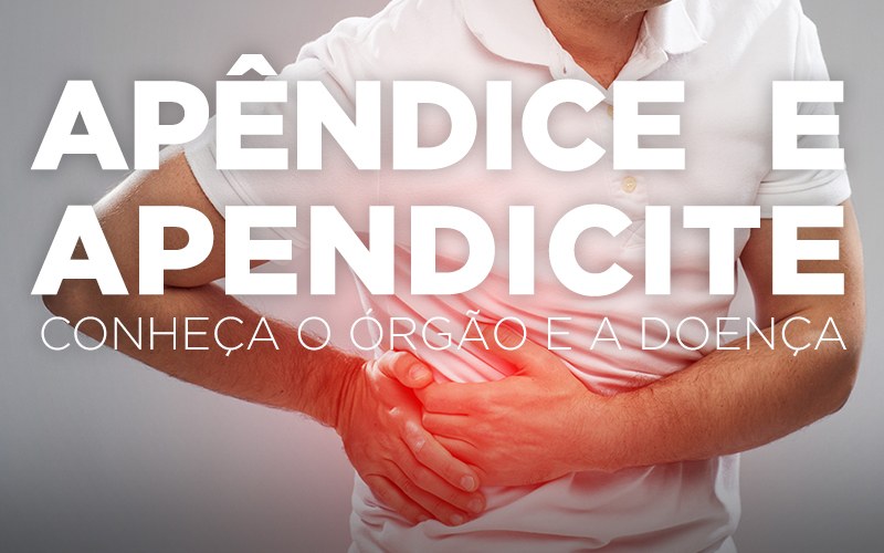APÊNDICE E APENDICITE, CONHEÇA O ÓRGÃO E A DOENÇA APÊNDICE E APENDICITE, CONHEÇA O ÓRGÃO E A DOENÇA