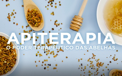 APITERAPIA, O PODER TERAPÊUTICO DAS ABELHAS APITERAPIA, O PODER TERAPÊUTICO DAS ABELHAS