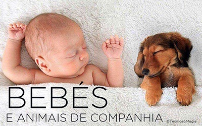 BEBÉS E ANIMAIS DE COMPANHIA