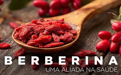 Artigos - BERBERINA, UMA ALIADA NA SAÚDE