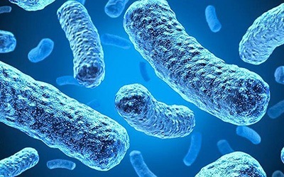 Ciência desconhece 99% dos micróbios do organismo humano