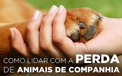 COMO LIDAR COM A PERDA DE UM ANIMAL DE COMPANHIA