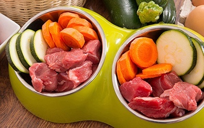 Dieta à base de carne crua pode representar risco para animais