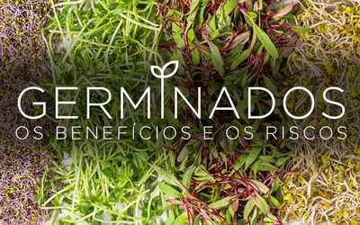 GERMINADOS, OS BENEFÍCIOS E OS RISCOS GERMINADOS, OS BENEFÍCIOS E OS RISCOS