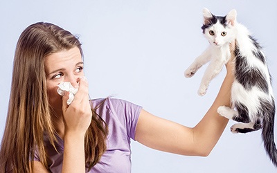 Nova metodologia permite reduzir alergia dos humanos aos gatos