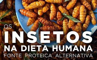 OS INSETOS NA DIETA HUMANA - Fonte proteica alternativa