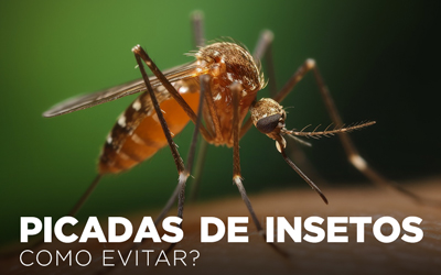 Artigos - PICADAS DE INSETOS, COMO EVITAR?