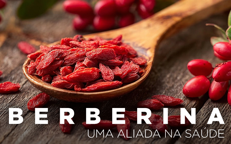 BERBERINA, UMA ALIADA NA SAÚDE