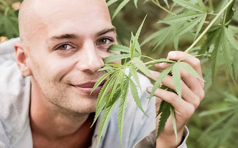 Cerca de um quarto dos pacientes com cancro consome cannabis