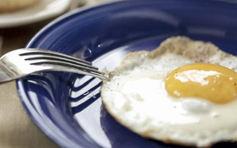 Comer um ovo por dia pode prevenir doenças cardiovasculares