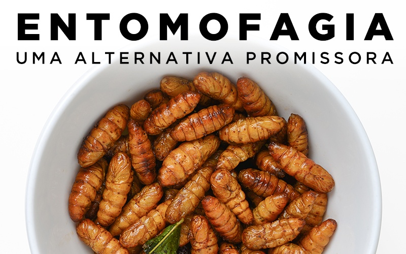 ENTOMOFAGIA, UMA ALTERNATIVA PROMISSORA ENTOMOFAGIA, UMA ALTERNATIVA PROMISSORA