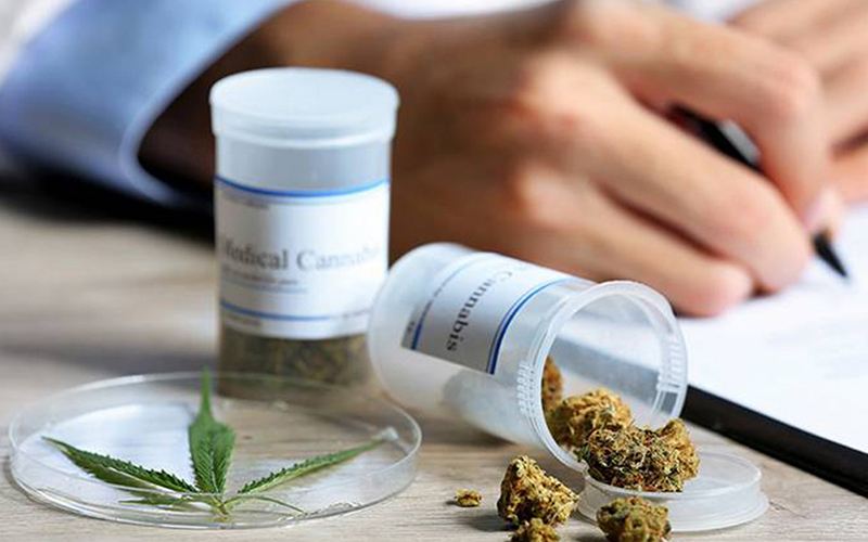 Estado norte-americano promove cannabis como alternativa aos analgésicos