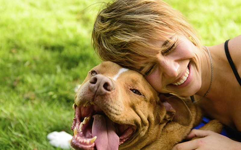 Estudo destaca papel dos animais de companhia no bem-estar dos donos