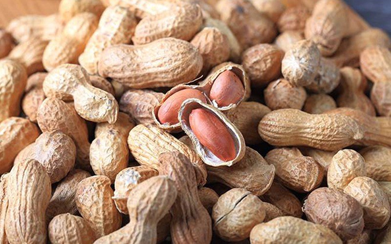 Ingerir pequenas doses de amendoim ajuda a prevenir reações alérgicas