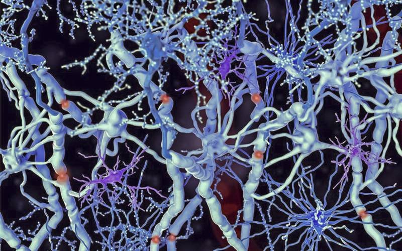 Inibição de molécula pode desacelerar progressão da esclerose múltipla