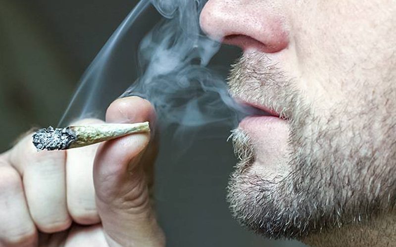 Quase 15% dos adultos nos EUA consumiram cannabis no último ano