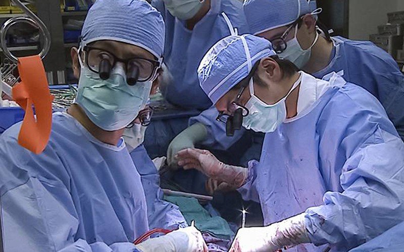 Realizada cirurgia laparoscópica de transplante de fígado com sucesso
