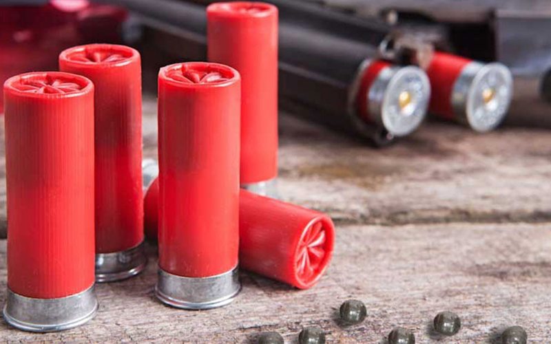 UE pede o fim do chumbo nas munições de caça