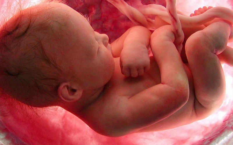Variações na microbiota placentária relacionadas com nascimento prematuro
