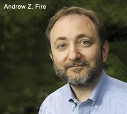 Andrew Z. Fire