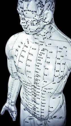 acupuntura, pontos