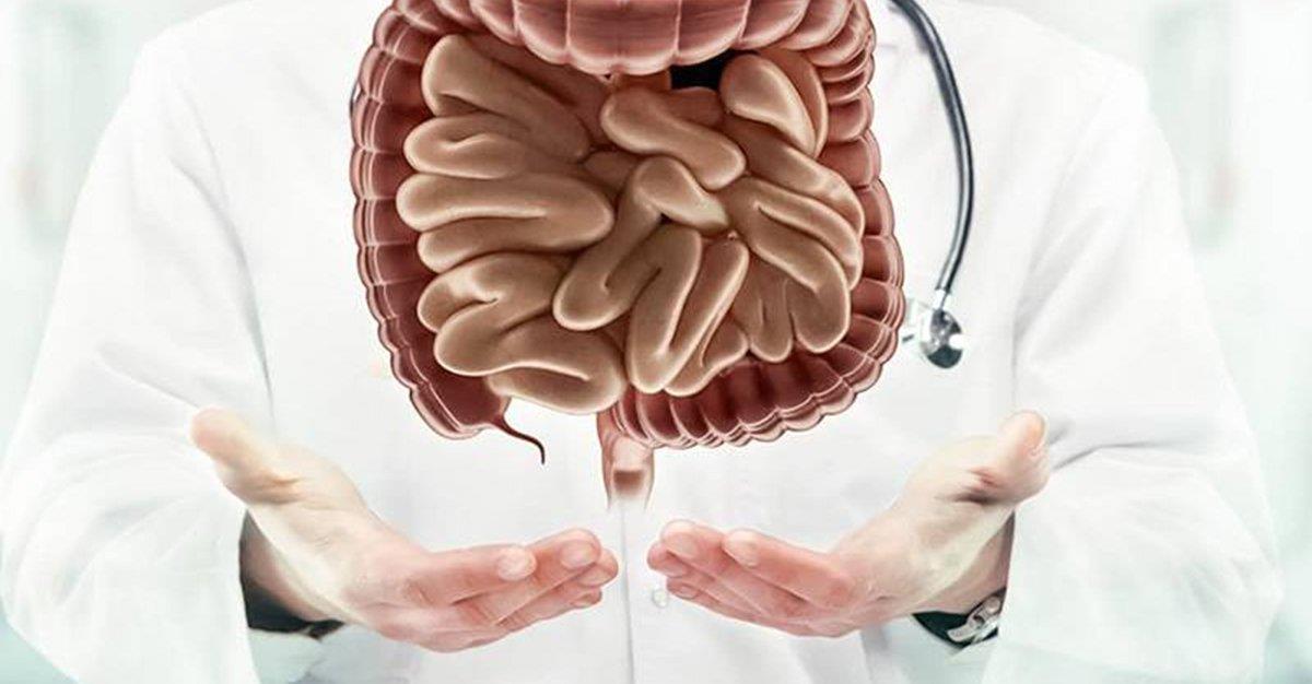 Cientistas identificam causa e possível tratamento para doença intestinal