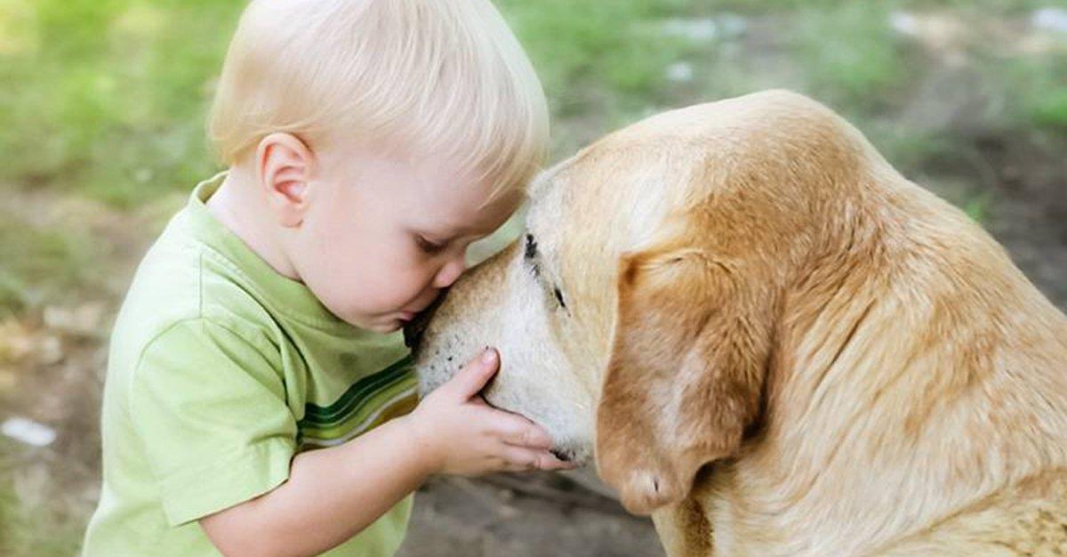 Animais e pragas podem evitar asma na infância