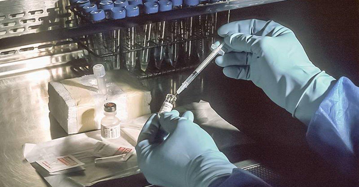 Cientistas criam primeira vacina sintética e não biológica do mundo