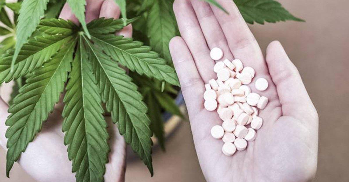 Consumidores de cannabis têm mais probabilidade de tomar medicamentos prescritos em excesso