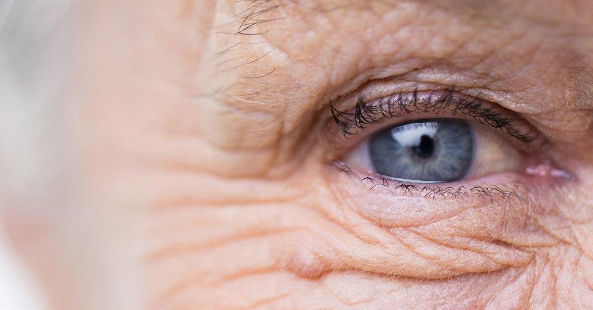 Combater “rugas” das células pode reverter envelhecimento