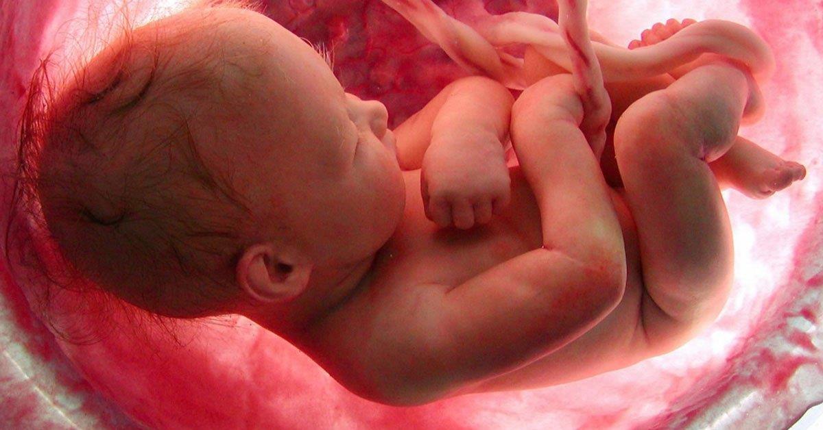 Variações na microbiota placentária relacionadas com nascimento prematuro