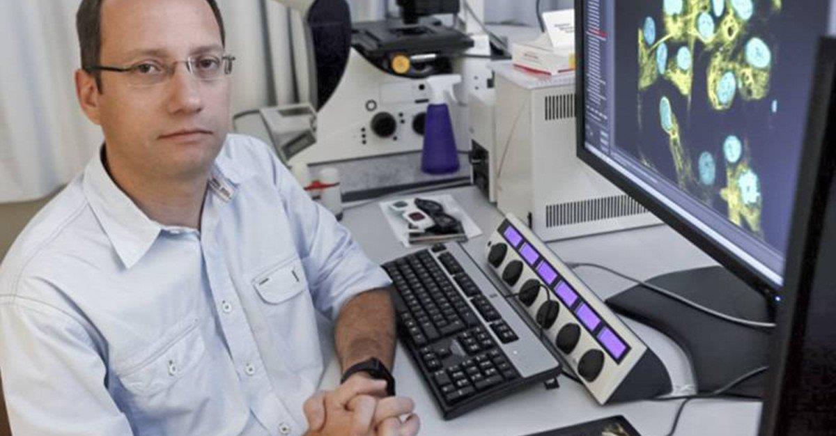 Cientistas criam neurónios sensoriais humanos em laboratório