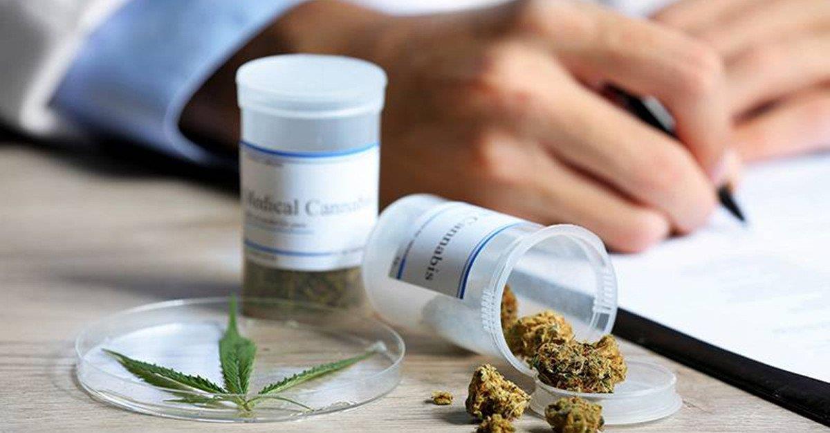 Estado norte-americano promove cannabis como alternativa aos analgésicos