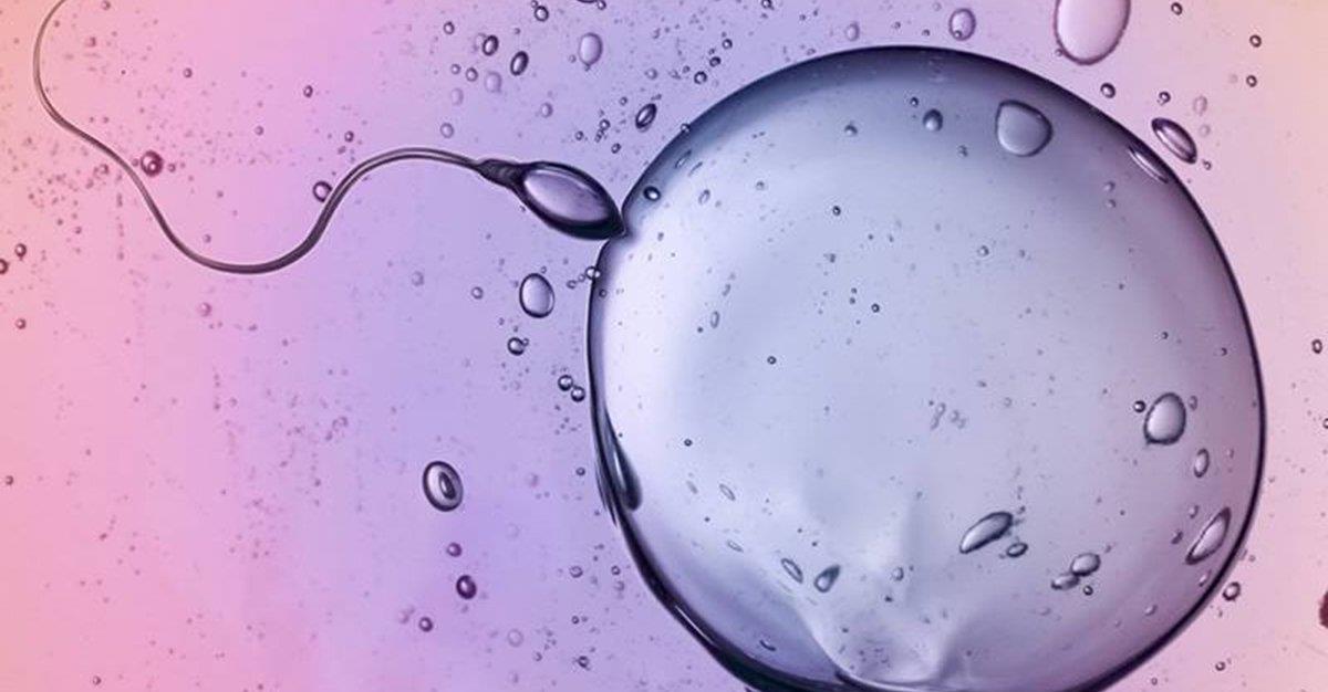 Abortos podem estar associados a qualidade do esperma