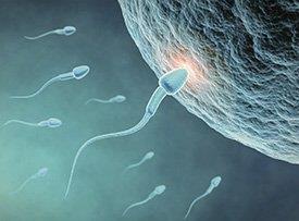 Esperma - aborto