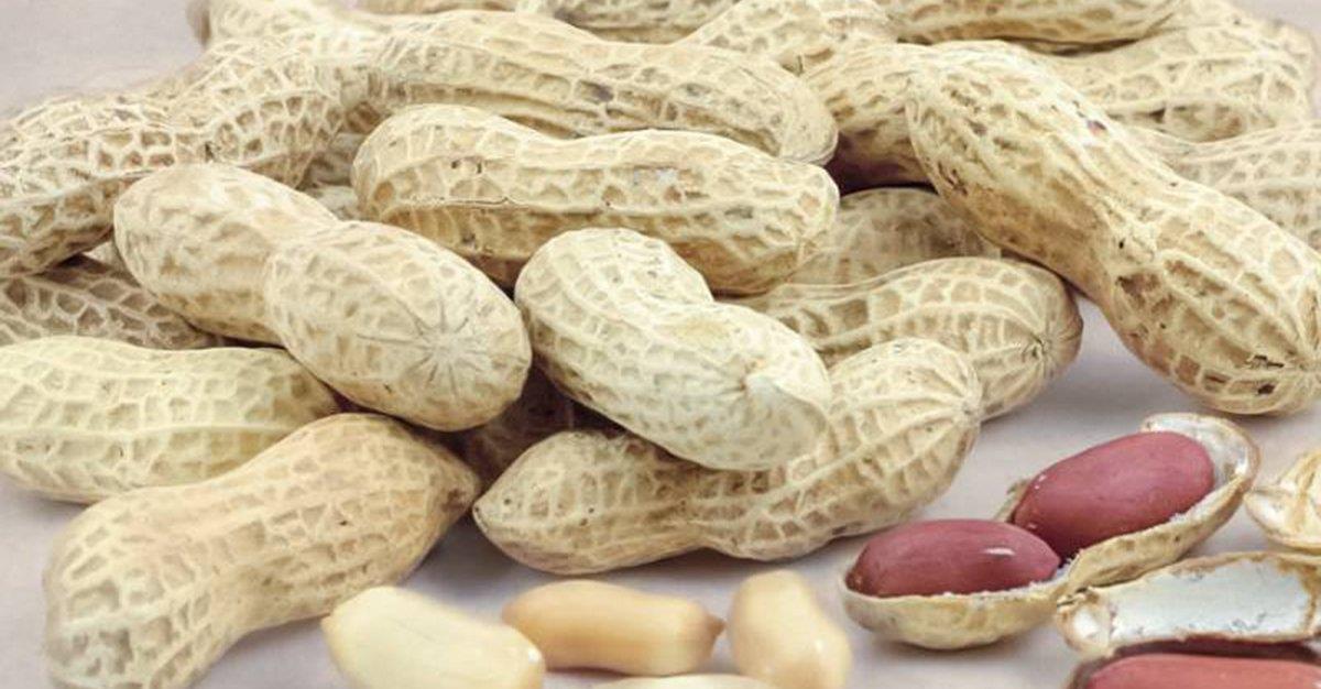 Amendoins ajudam a reduzir consumo de lanches não saudáveis