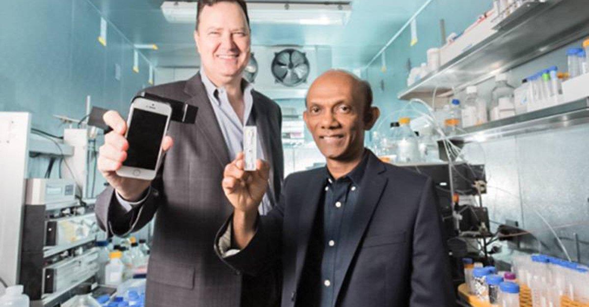 Cientistas descobrem novos biomarcadores de nefrite lúpica