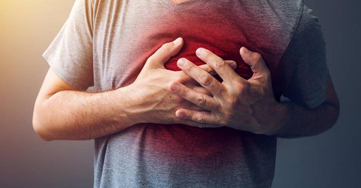 Estudo revela que apenas os humanos têm ataques cardíacos
