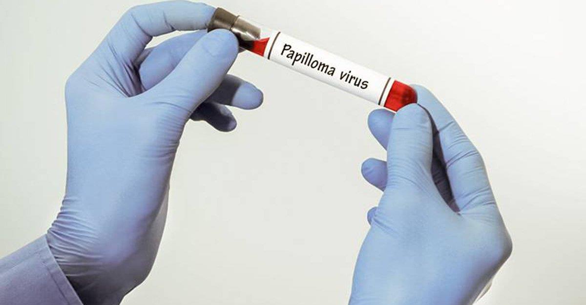 HPV poderá ser transmitido pelo sangue