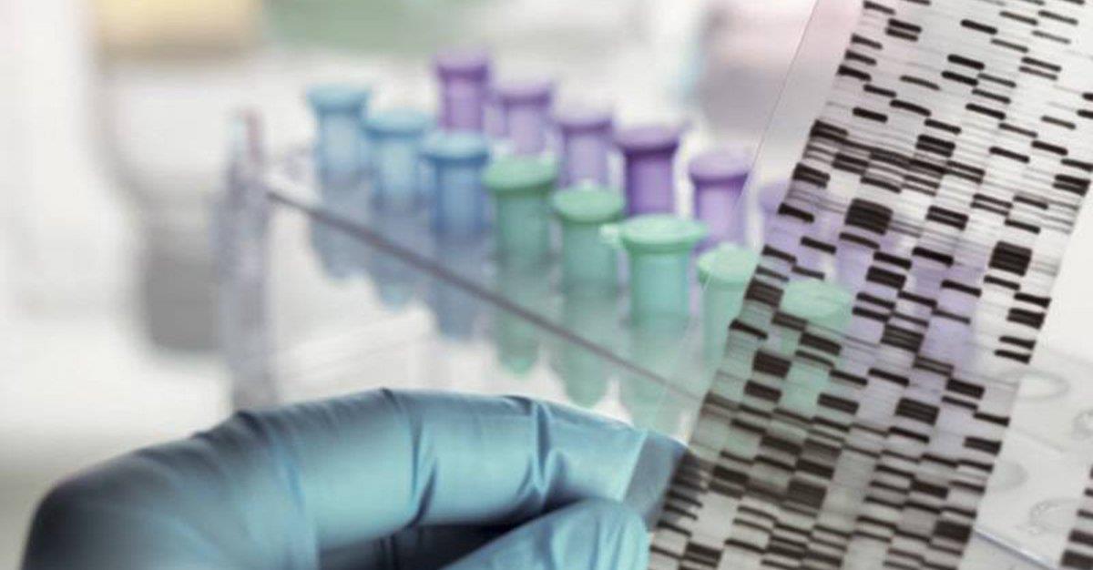 Método inovador deteta anormalidades de ADN que provocam abortos