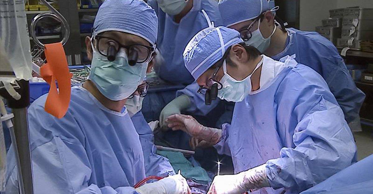 Realizada cirurgia laparoscópica de transplante de fígado com sucesso