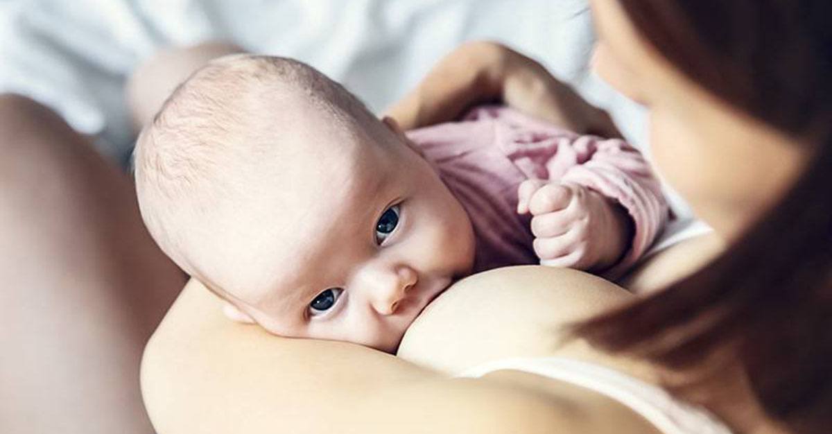 Aleitamento materno permite reduzir custos hospitalares no tratamento de doenças neonatais