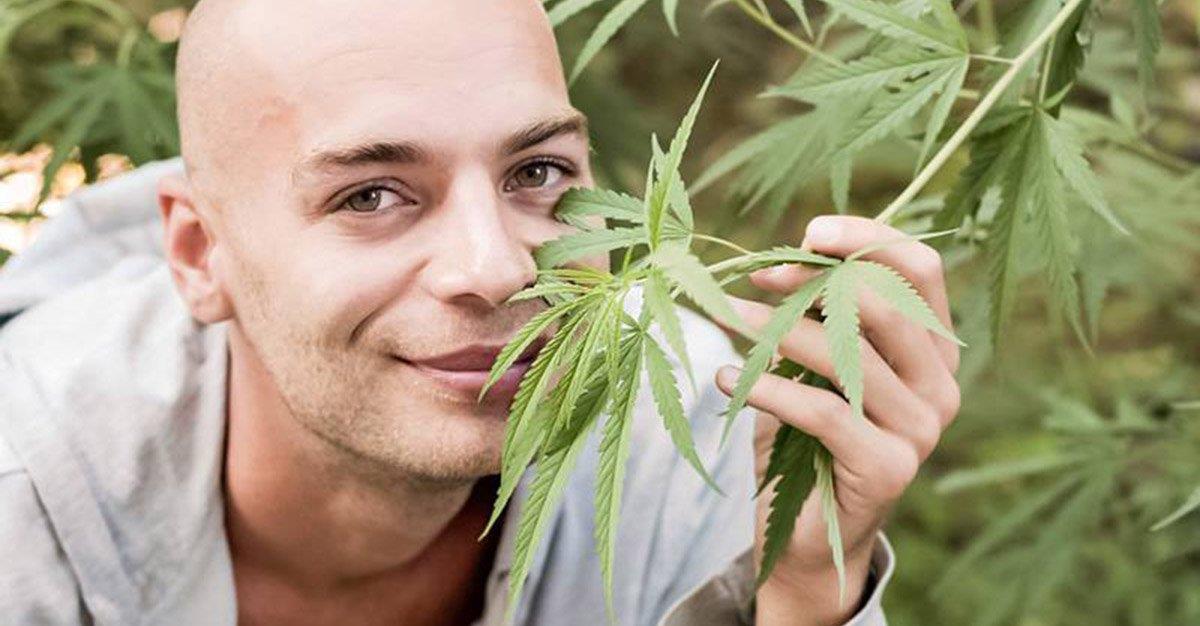 Cerca de um quarto dos pacientes com cancro consome cannabis
