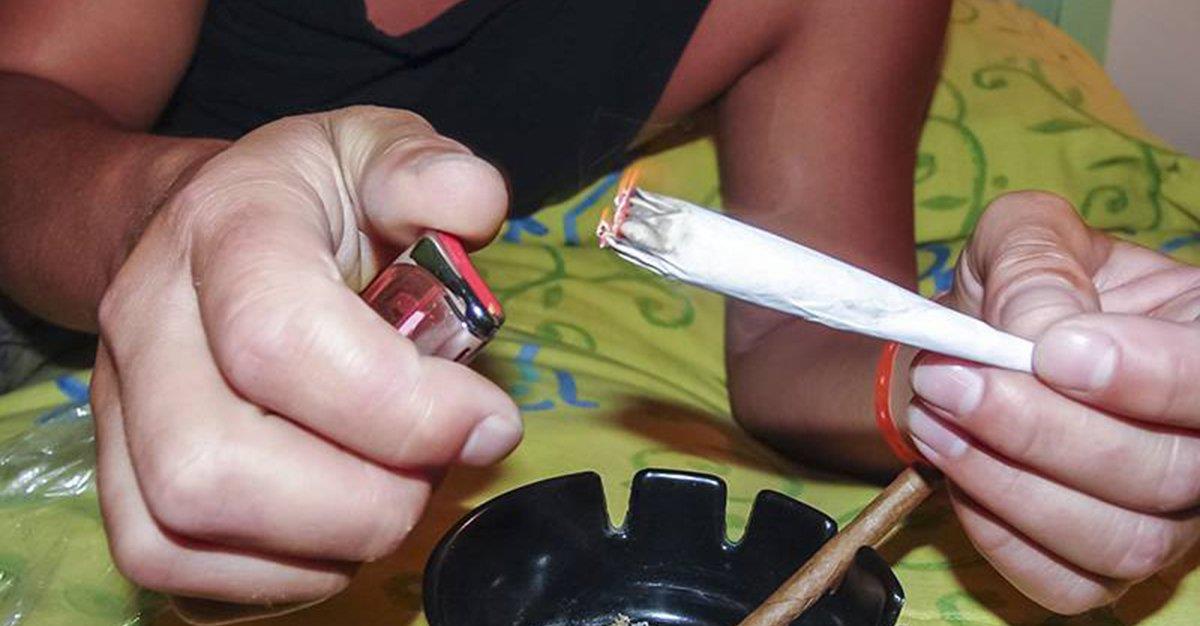 Cannabis pode levar não fumadores a fumar cigarros