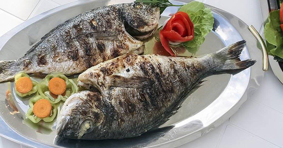 Comer peixe promove envelhecimento saudável